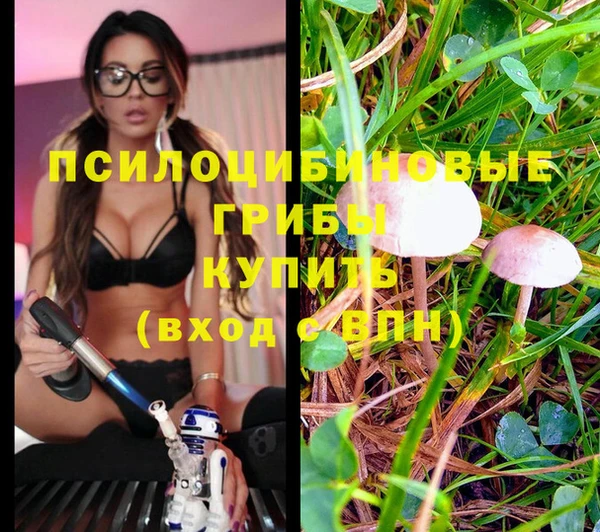 дживик Аркадак