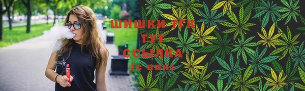 дживик Аркадак