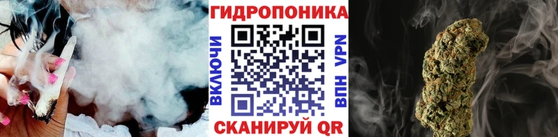 Конопля гибрид  Югорск 